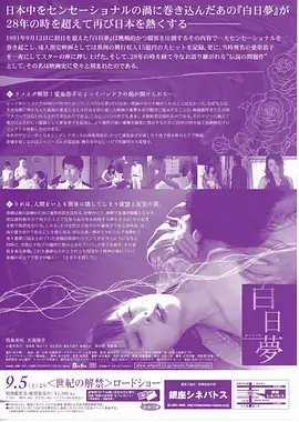 雾港回声